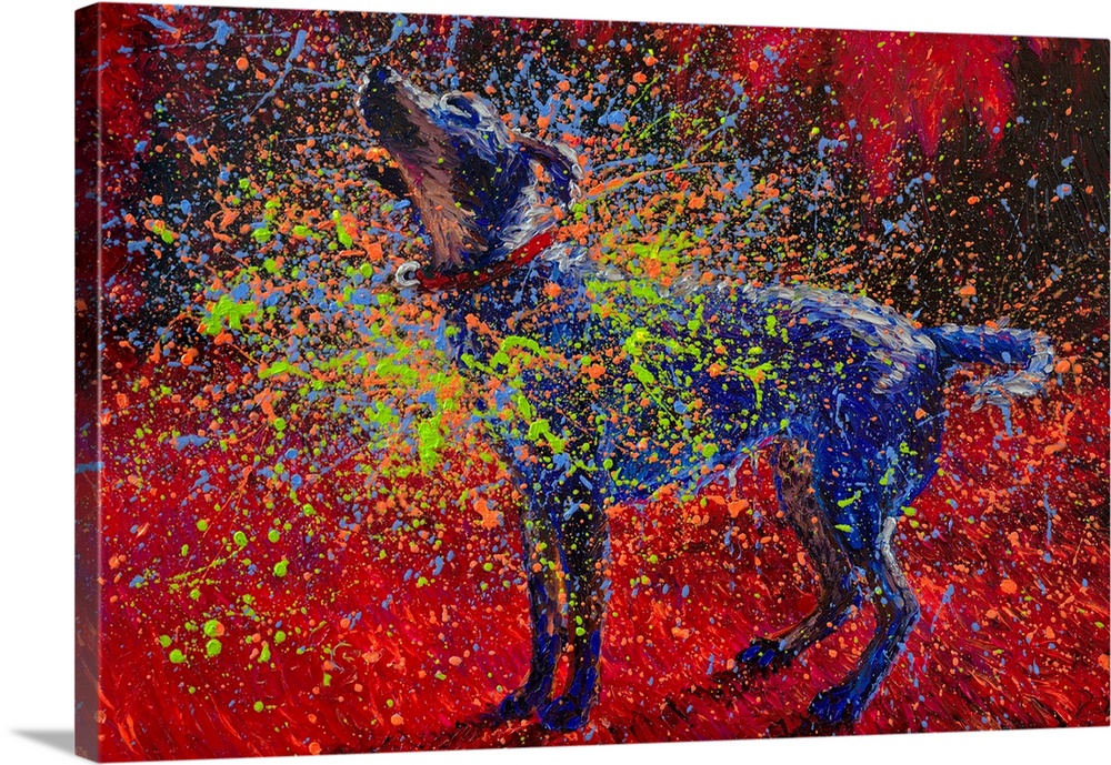 Brightly colored contemporary artwork of a dog shaking off colors.