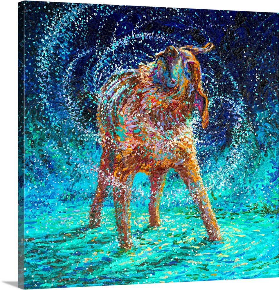 Brightly colored contemporary artwork of an older dog shaking off water.