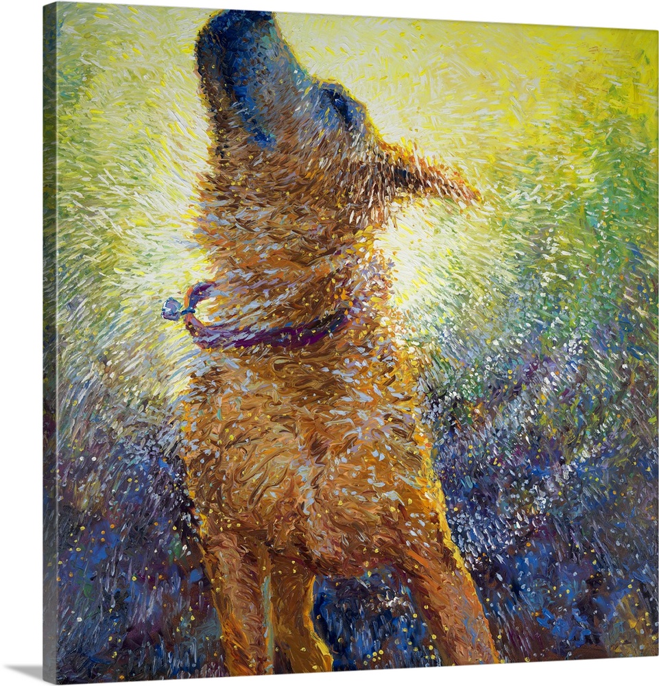 Brightly colored contemporary artwork of a large dog shaking off water.