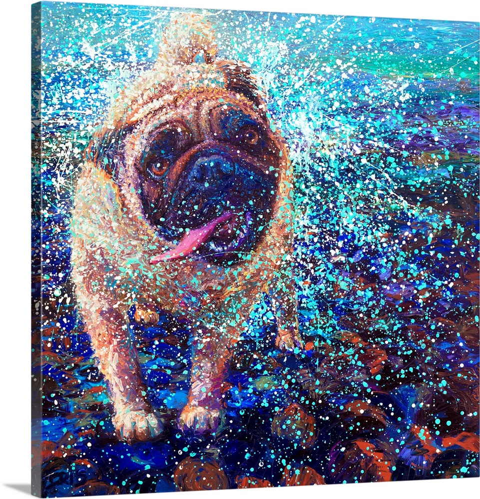 Brightly colored contemporary artwork of a pug shaking off water.