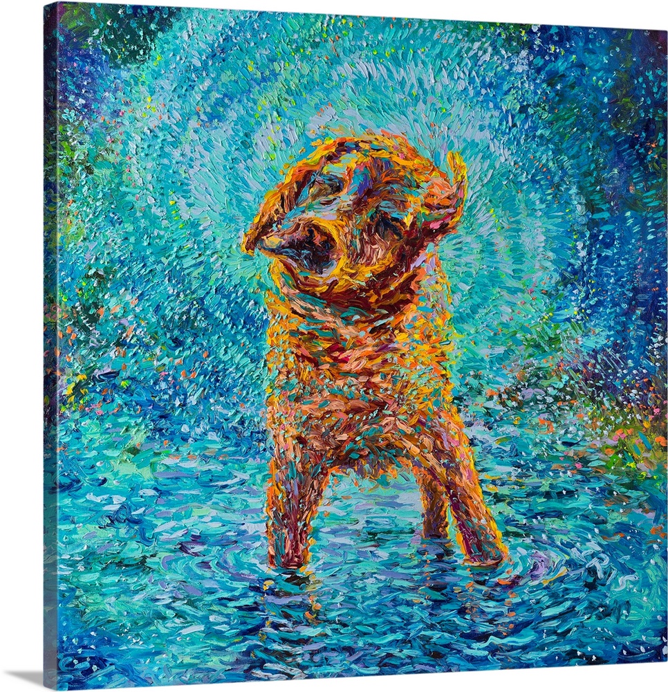 Brightly colored contemporary artwork of a dog standing in water shaking.