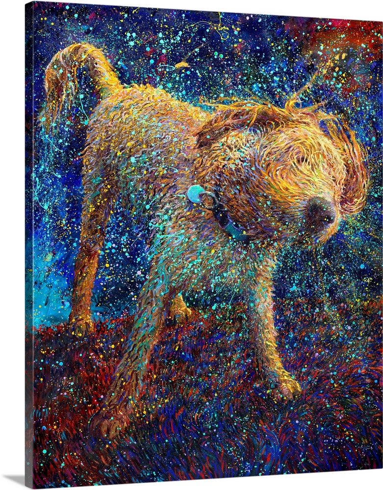 Brightly colored contemporary artwork of a shaggy dog shaking off water.