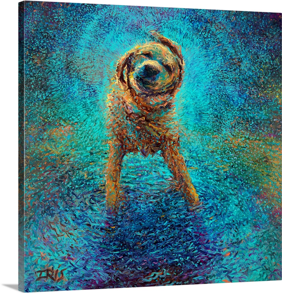 Brightly colored contemporary artwork of a lab shaking off blue water.