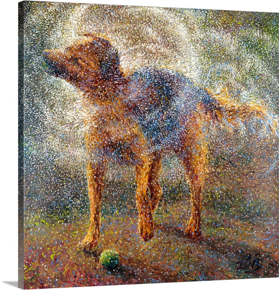 Brightly colored contemporary artwork of a shepherd shaking off water.