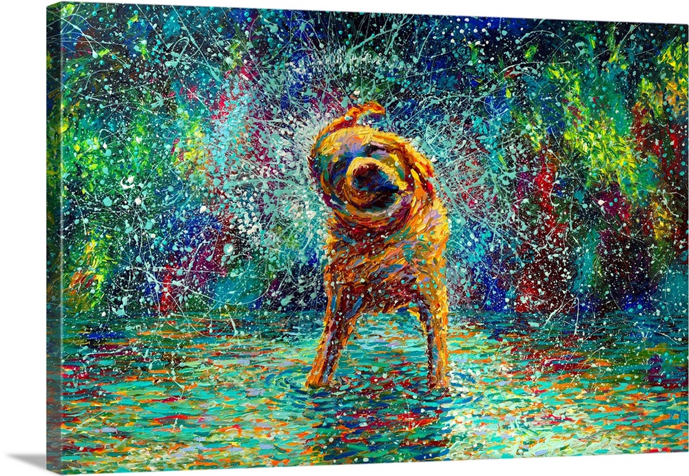 Brightly colored contemporary artwork of a dog shaking off water in colors.