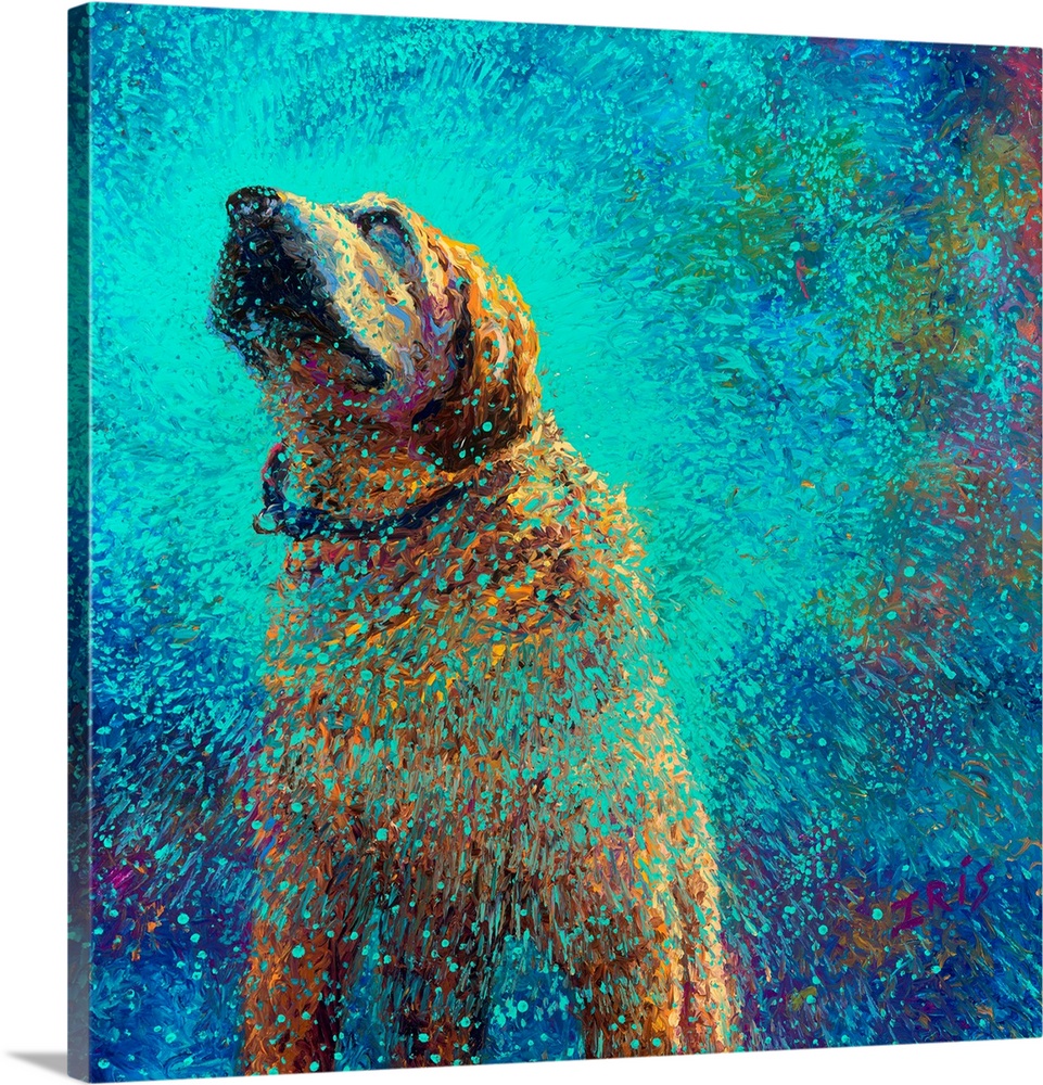 Brightly colored contemporary artwork of a tan dog shaking off water.