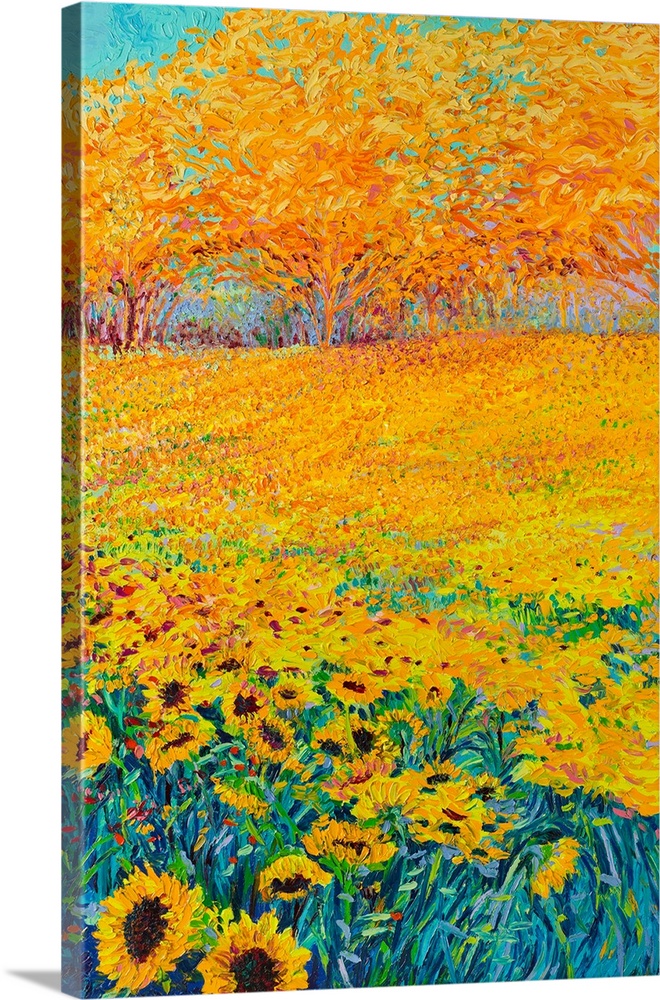 Brightly colored triptych of a sunflower field. Panel 3 of 3.