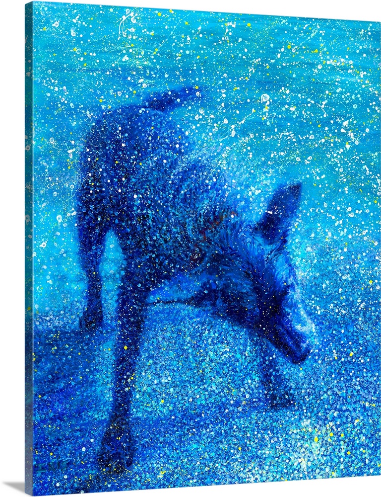 Brightly colored contemporary artwork of a blue dog shaking off water.