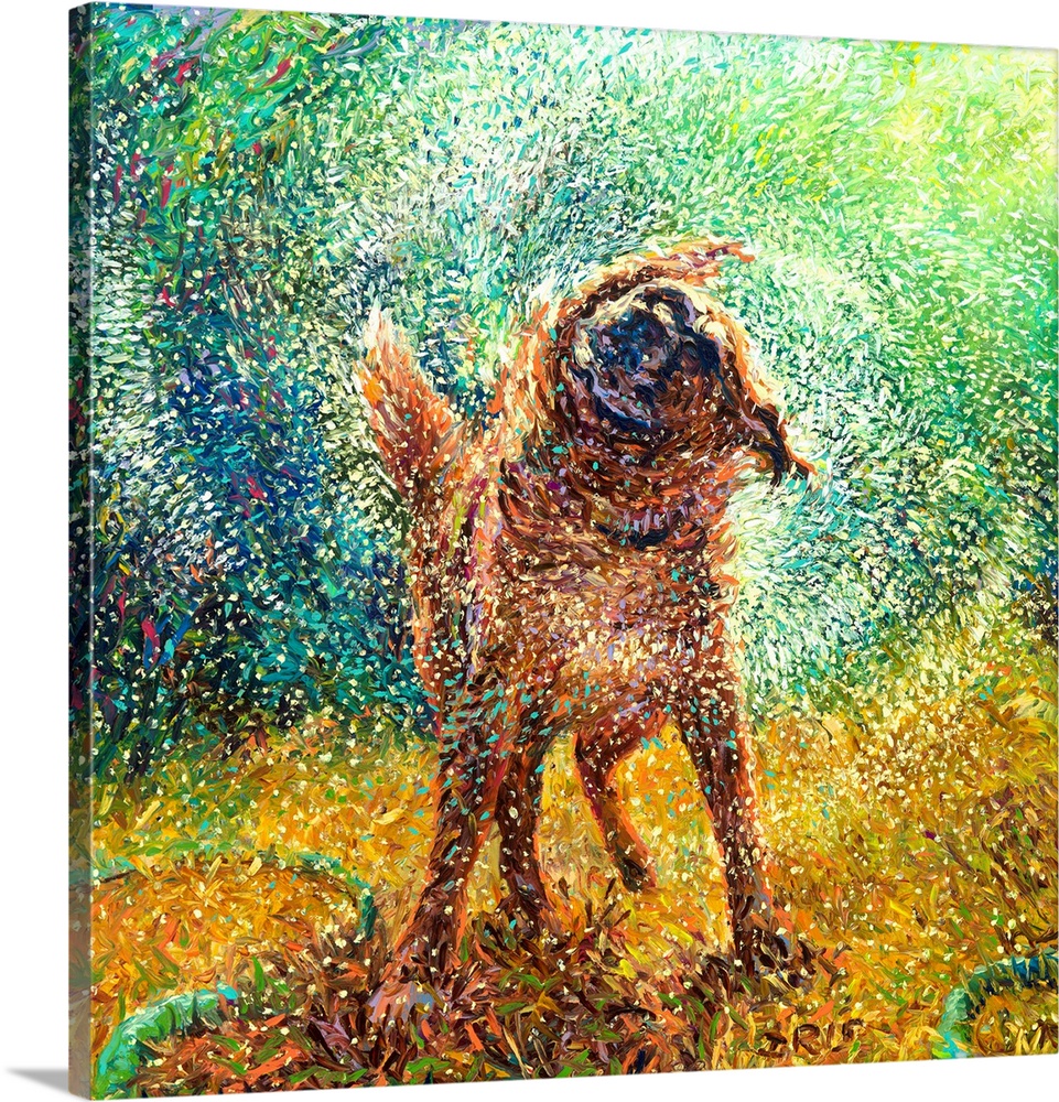 Brightly colored contemporary artwork of a dog shaking off water.