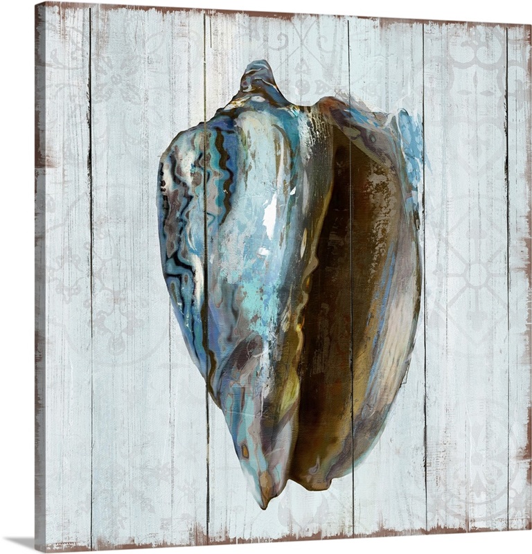 Beachwood Shells I Wall Art, Canvas Prints, Framed Prints, Wall Peels ...