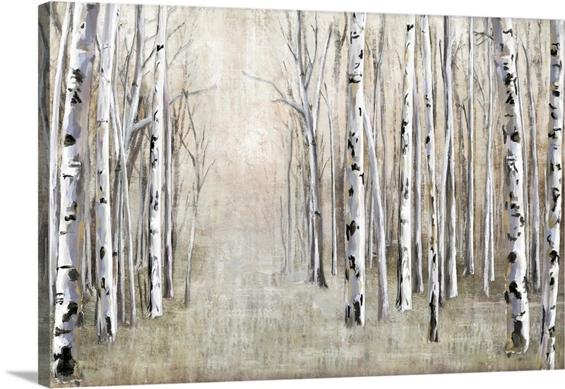 Birch Tree Path | Great Big Canvas