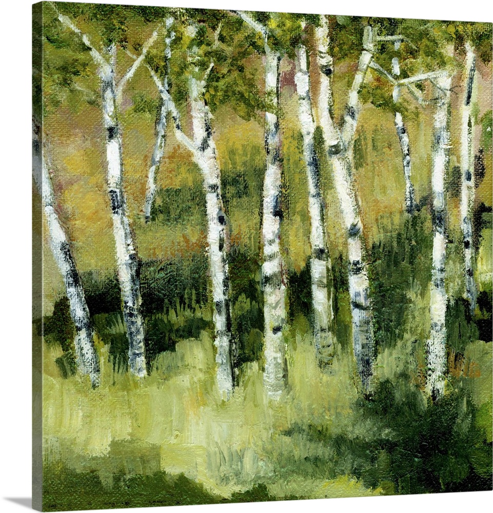 Contemporary painting of thin white birch trees in a green grassy clearing.