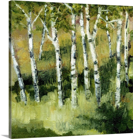 Birch Trees Wall Art, Canvas Prints, Framed Prints, Wall Peels | Great