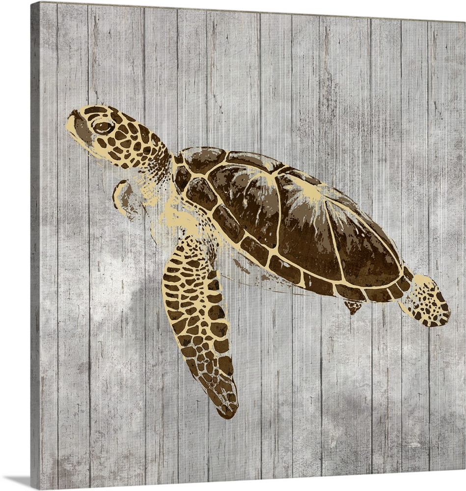 A decorative image of a turtle with gold accents on a gray wood backdrop.