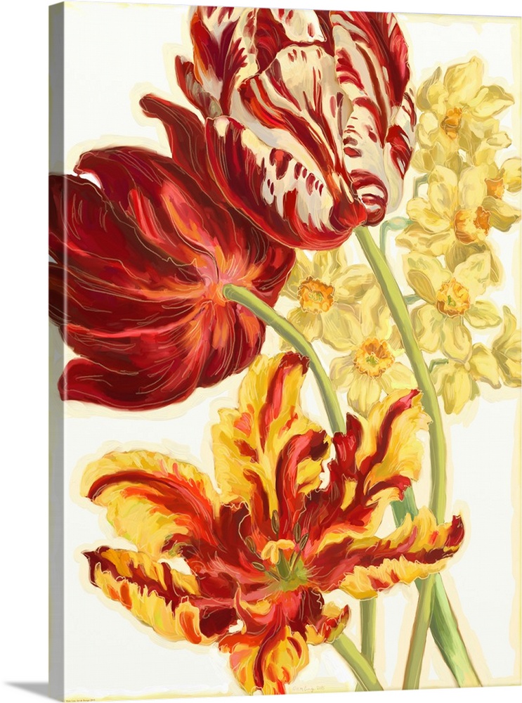 Watercolor artwork of fiery red and yellow tulips.