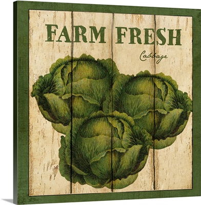 Farm Fresh Cabbage
