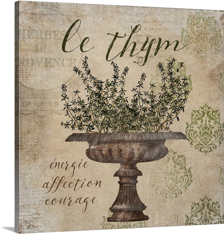 French Herbs Le Thym Great Big Canvas
