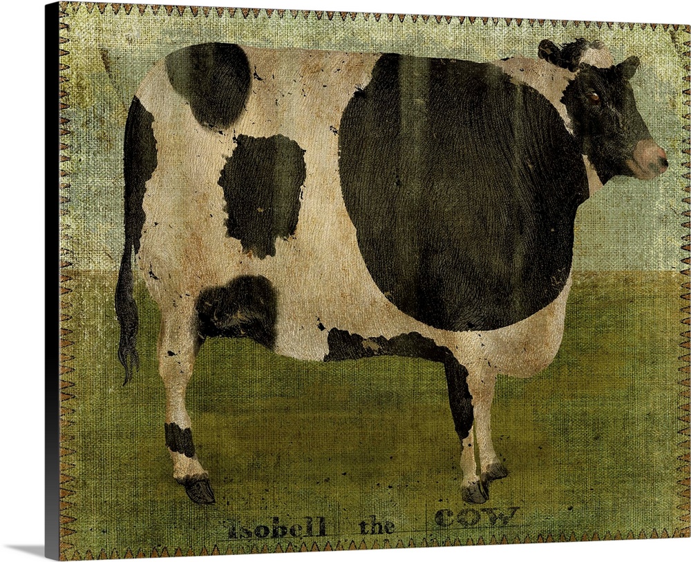 Isobell Cow