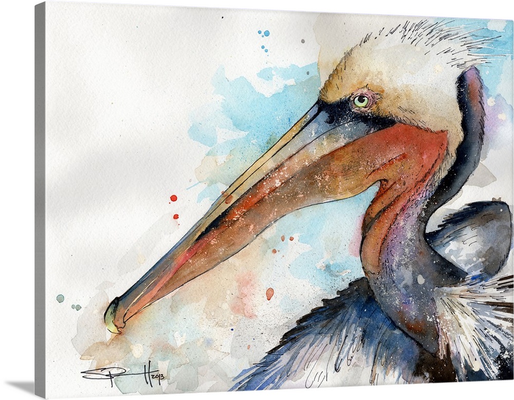 Watercolor portrait of a brown pelican.