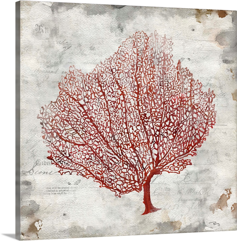 Decorative artwork of red coral on a distressed gray background with glances of text throughout.