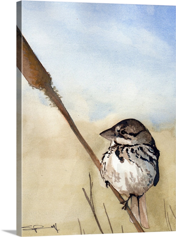 A small sparrow perched on a cattail.