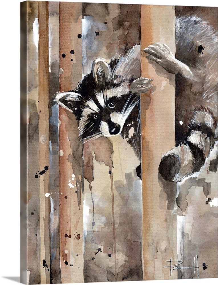 Watercolor painting of a raccoon climbing a tree.
