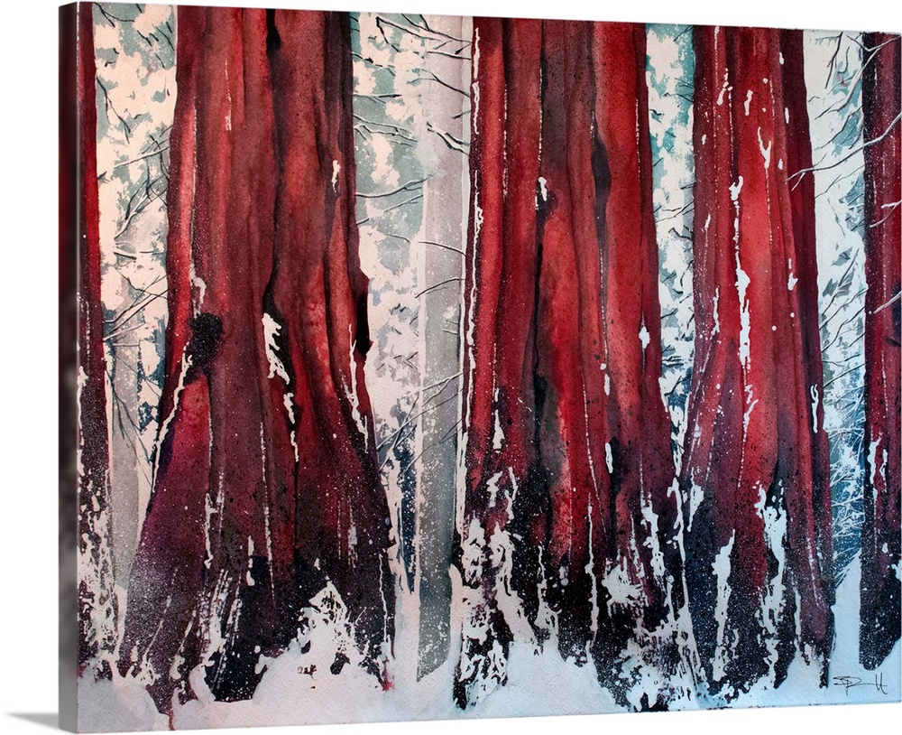 Painting of a forest of tall sequoia trees in the winter.
