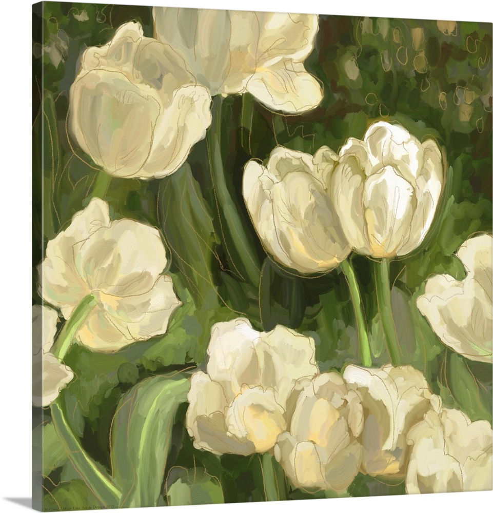 White Tulips II