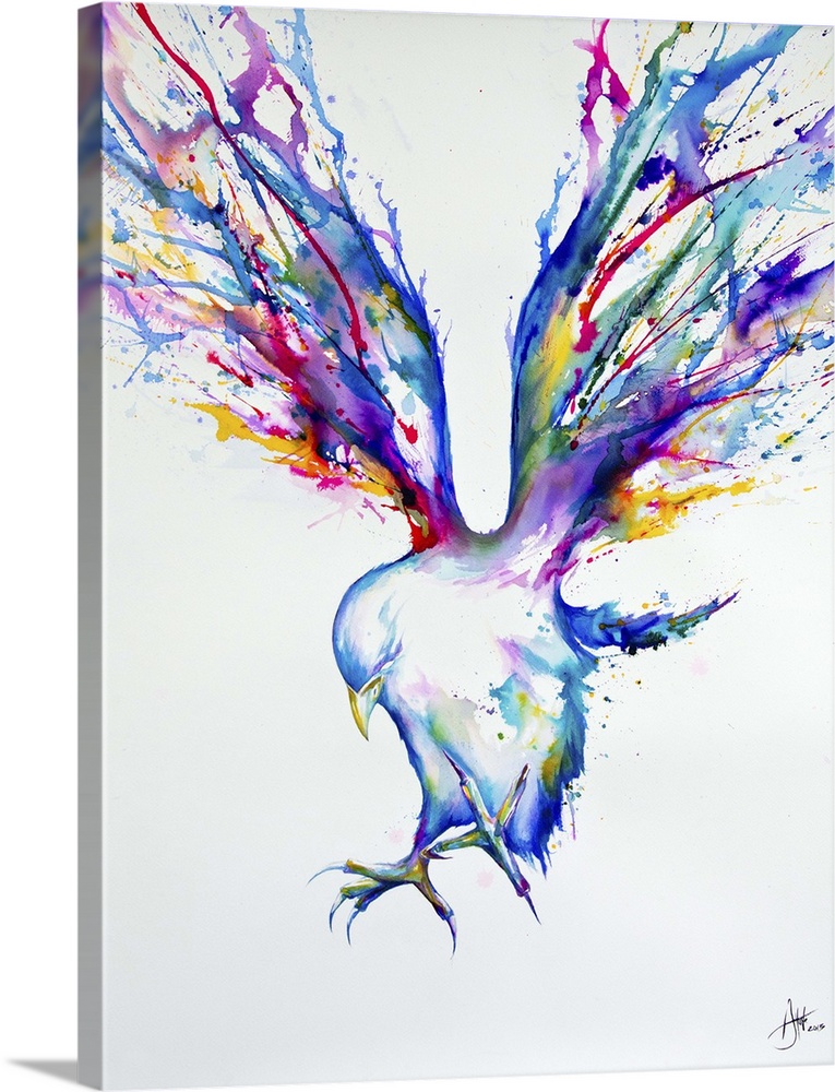 Watercolor and ink painting of a bird in flight with its feet raised for landing.