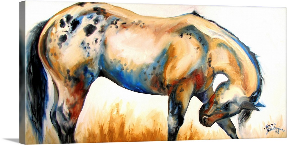 Contemporary painting of an Appaloosa horse bowing in shades of orange, red, black, and blue.