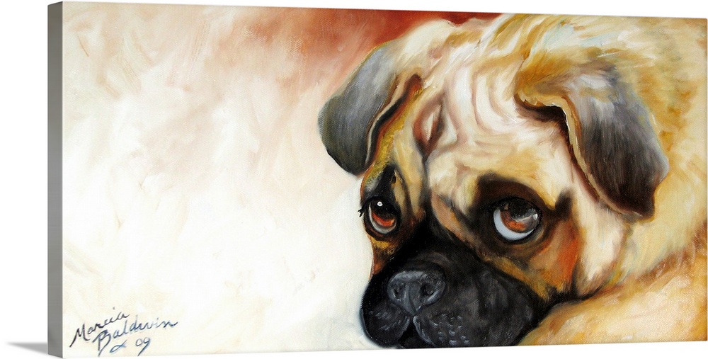 Panoramic painting of a pug with sad brown eyes on a white and burnt red background.