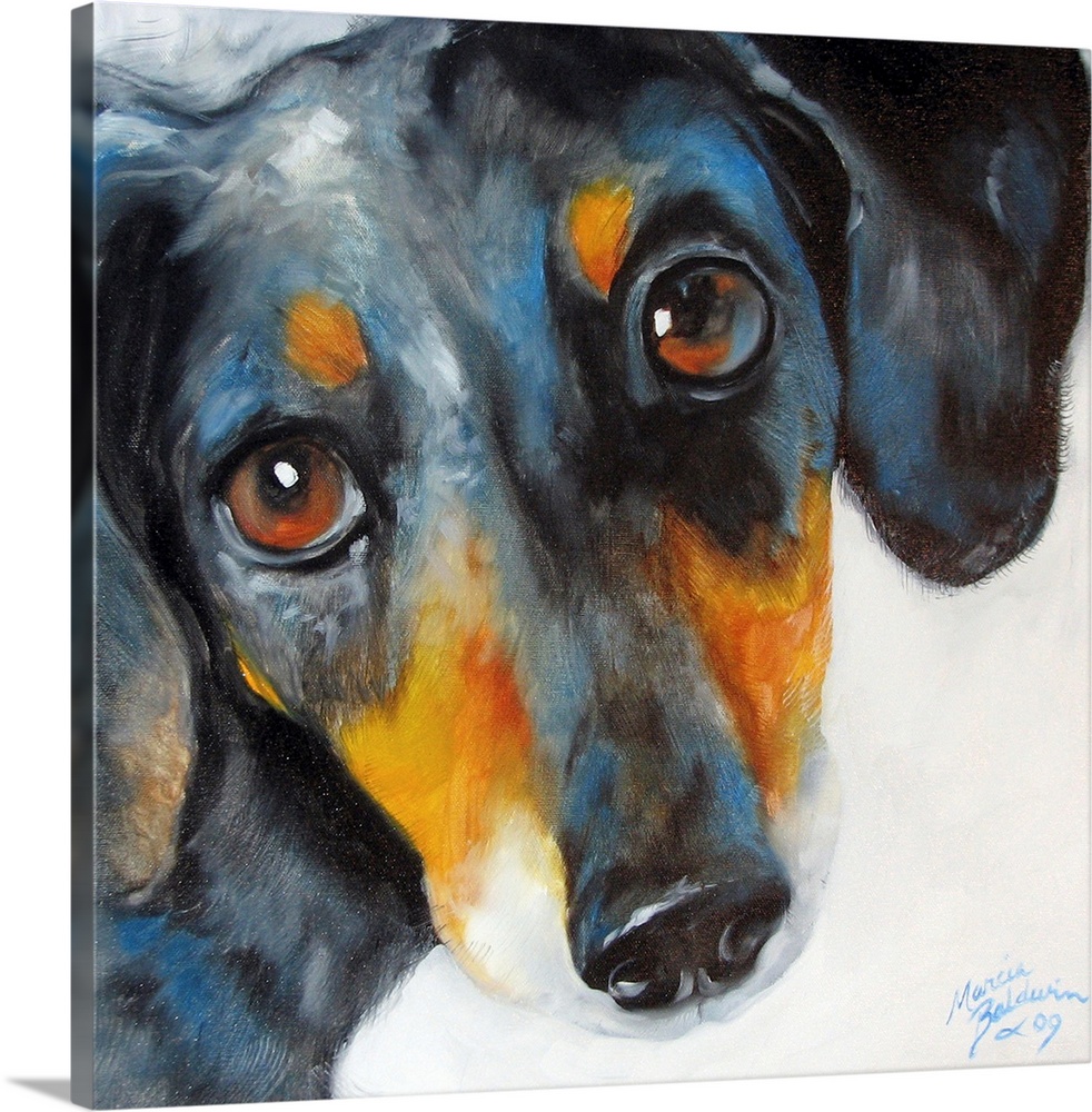 Square painting of a close-up dachshund face on a white background.