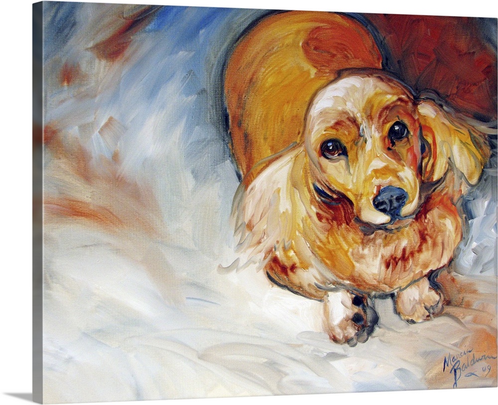 Contemporary painting of a Cocker Spaniel on an abstract background made with white, gray, blue, orange, and red hues.