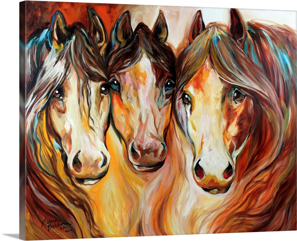 Three Wild Horses Depicting The American Mustang