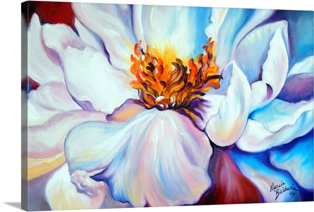 Close up painting of a white peony on a red and blue background.