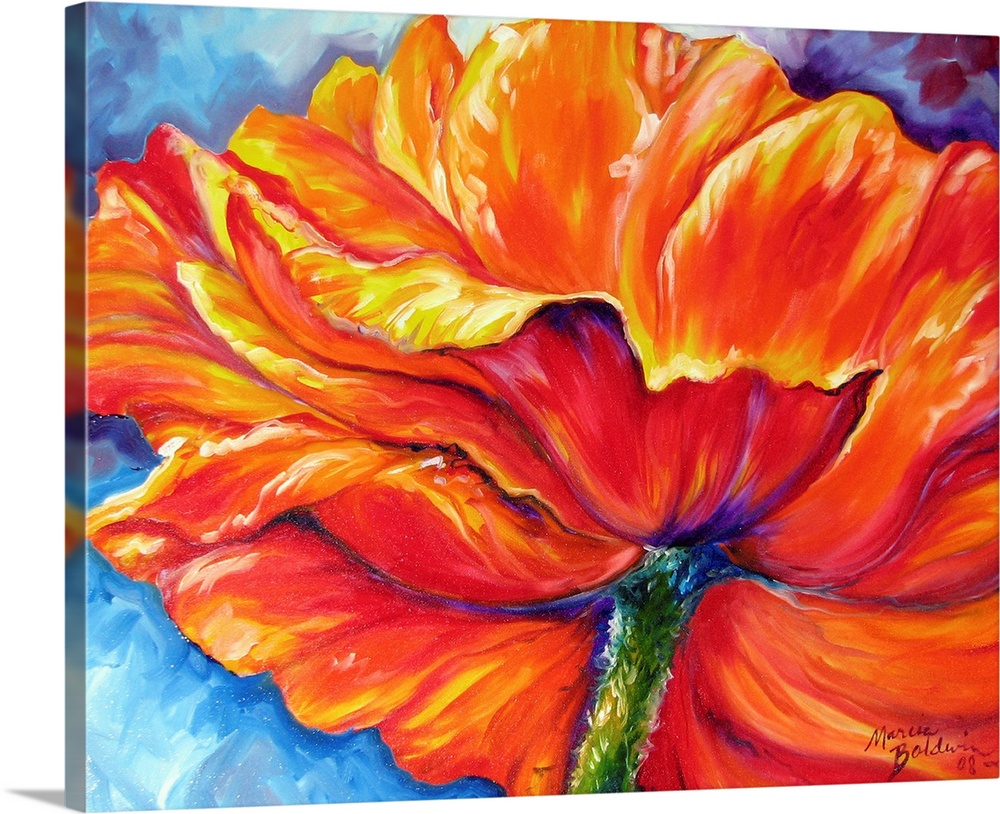 Contemporary painting of an orange, red, and yellow poppy flower on a blue a toned background.