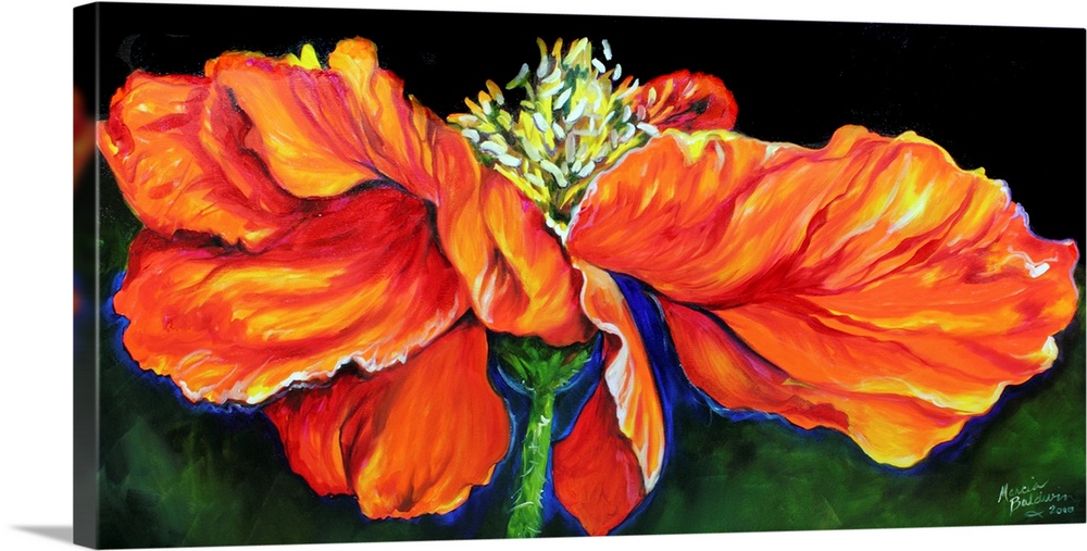 Panoramic painting of an orange, red, and yellow poppy flower on a green background.