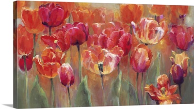 Tulips In The Midst - Pink And Red