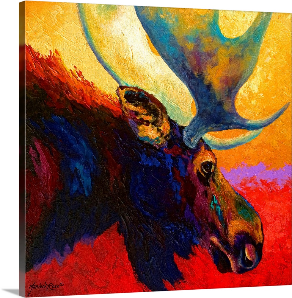 Square, contemporary painting of the profile of a moose with large antlers, from the shoulders forward.  Painted on a brig...