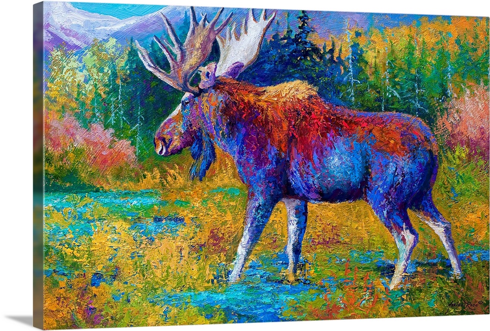 stag elk moose Framed Canvas abstract  Australia painting art pop wall decor 