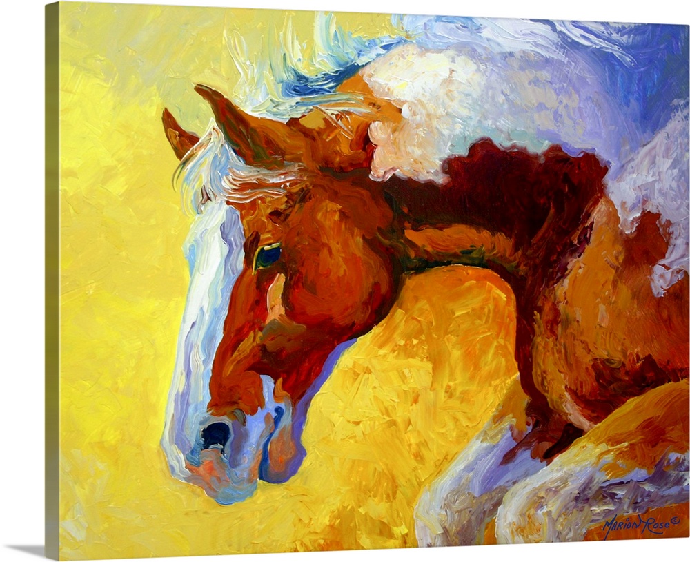 A brightly colored contemporary painting of a charging Paint stallion, his neck arched as he gallops.