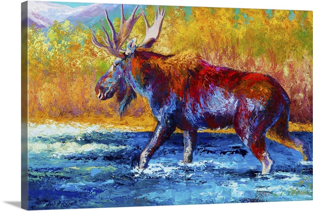 Close Range Wall Art, Canvas Prints, Framed Prints, Wall Peels Great