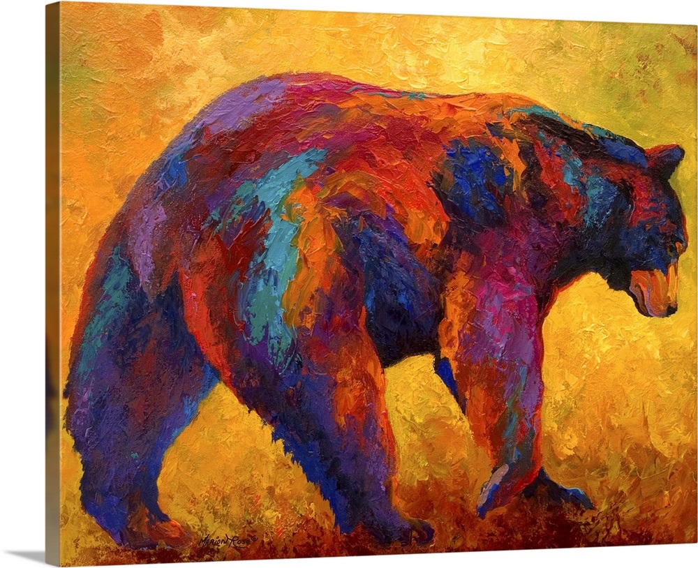 Daily Rounds Black Bear Wall Art, Canvas Prints, Framed Prints, Wall ...