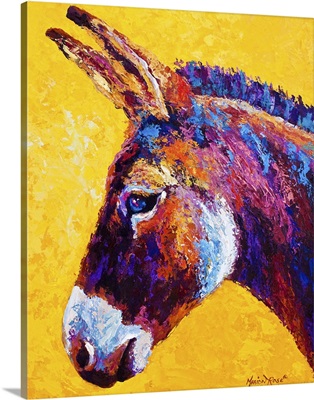 Donkey Portrait