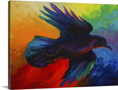Flying Colors Crow