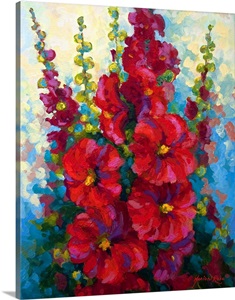 New Hollyhocks image thumbnail