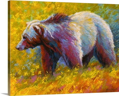Pastel Grizzly