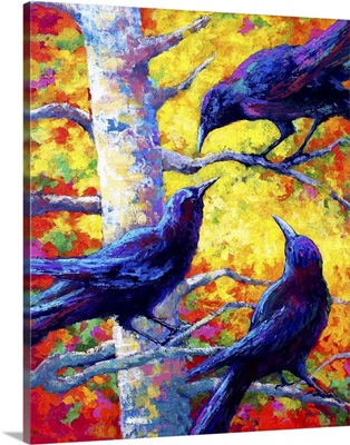 Poplar Crows