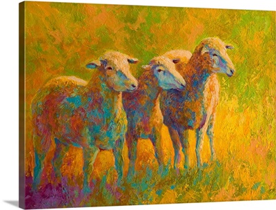 Sheep Trio