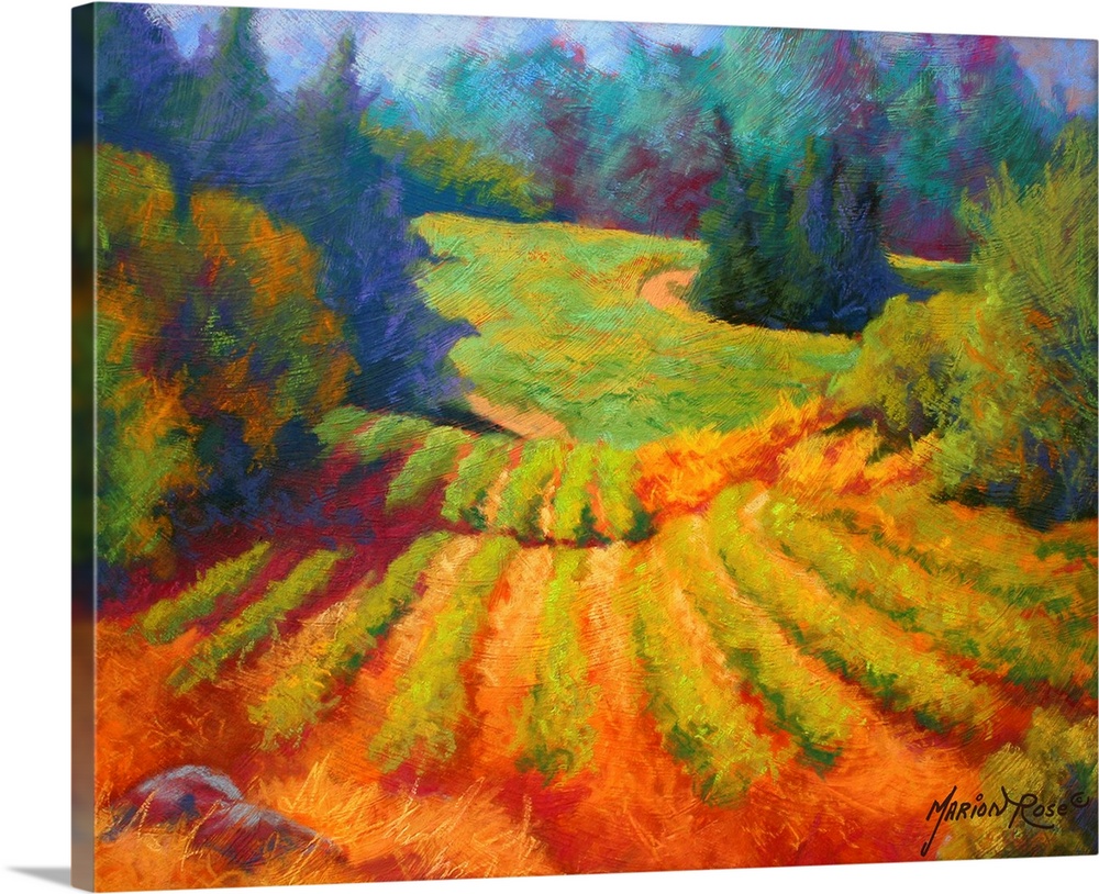 Big painting on canvas of a  vineyard with a forest and rolling hills in the background.